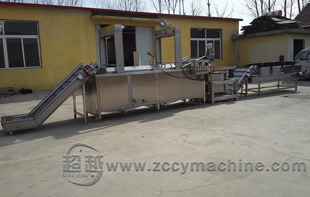 Continuous Peanut Fryer Line
