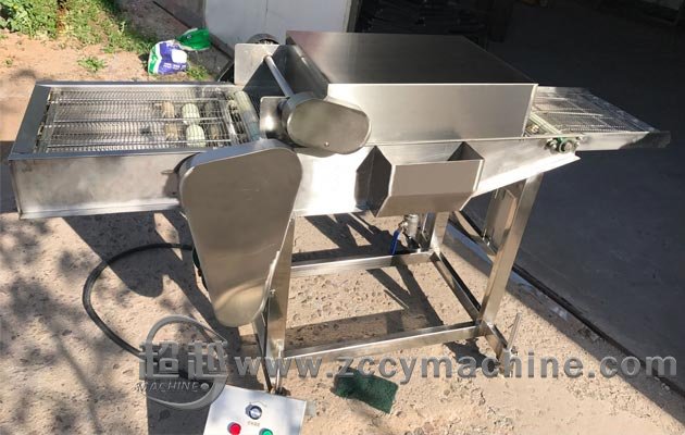 Automatic Meat Powder Coating Machine|Meat Starching Machine