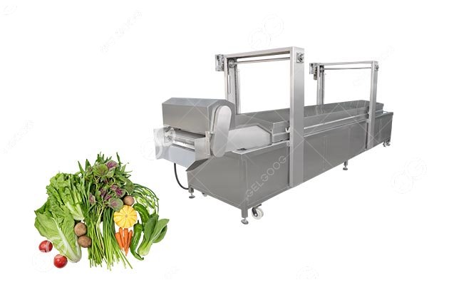 vegetable blanching machine
