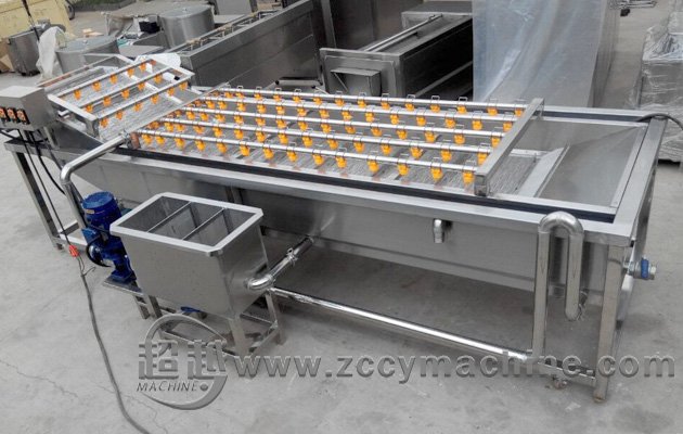 Vegetable Cleaning Machine